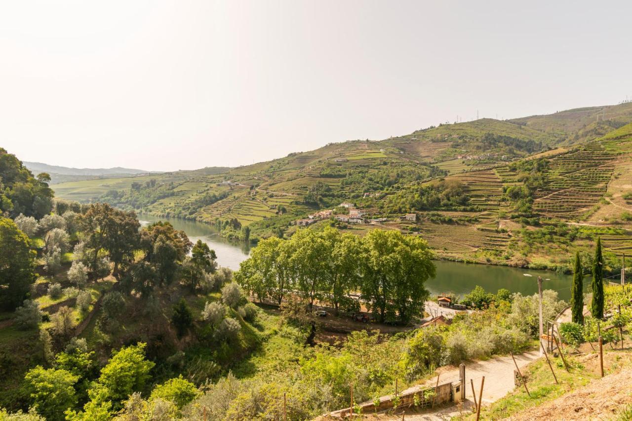 Douroparadise Peso da Régua المظهر الخارجي الصورة